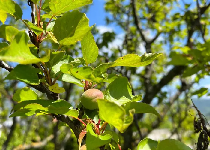 The Cozy Townhouse - Donaublick Spitz Сasa de vacaciones *